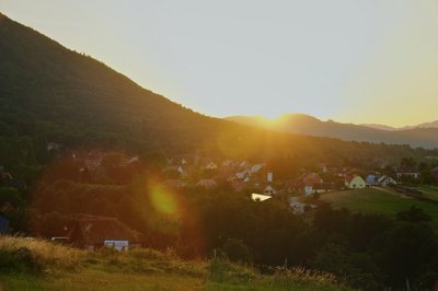 Living in an orange world 5_4823205814_l.jpg